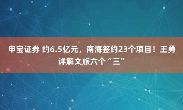 申宝证券 约6.5亿元，南海签约23个项目！王勇详解文旅六个“三”