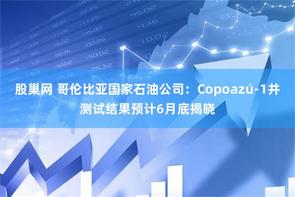 股巢网 哥伦比亚国家石油公司：Copoazú-1井测试结果预计6月底揭晓