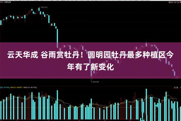 云天华成 谷雨赏牡丹！圆明园牡丹最多种植区今年有了新变化