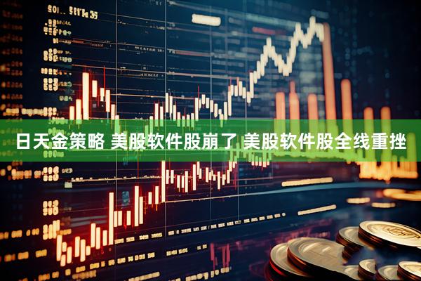 日天金策略 美股软件股崩了 美股软件股全线重挫