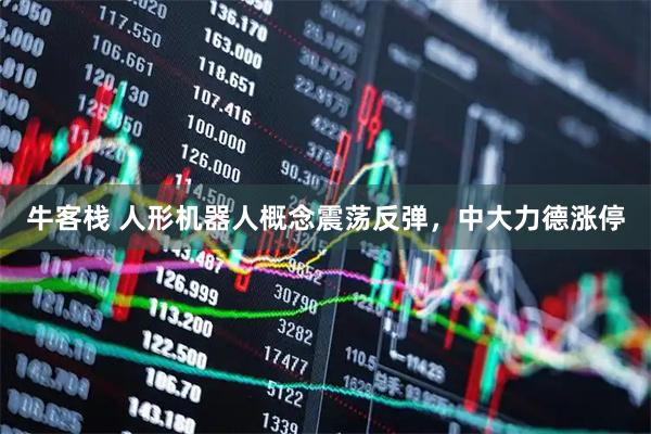 牛客栈 人形机器人概念震荡反弹，中大力德涨停