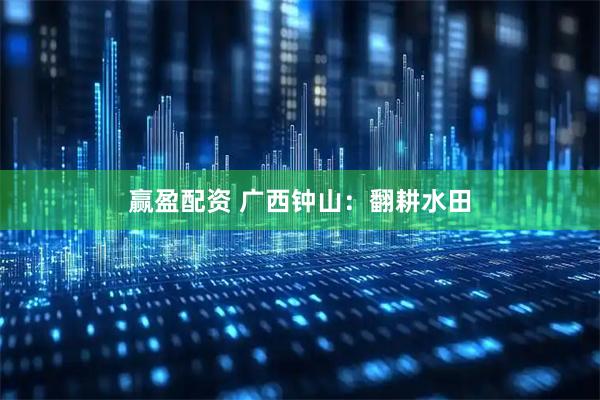 赢盈配资 广西钟山：翻耕水田