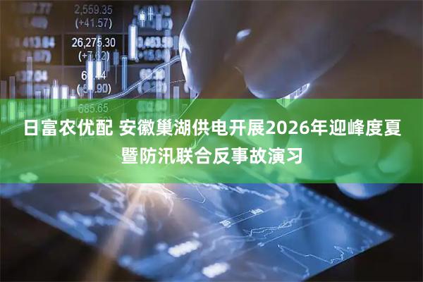 日富农优配 安徽巢湖供电开展2026年迎峰度夏暨防汛联合反事故演习